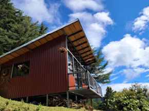 Altura House